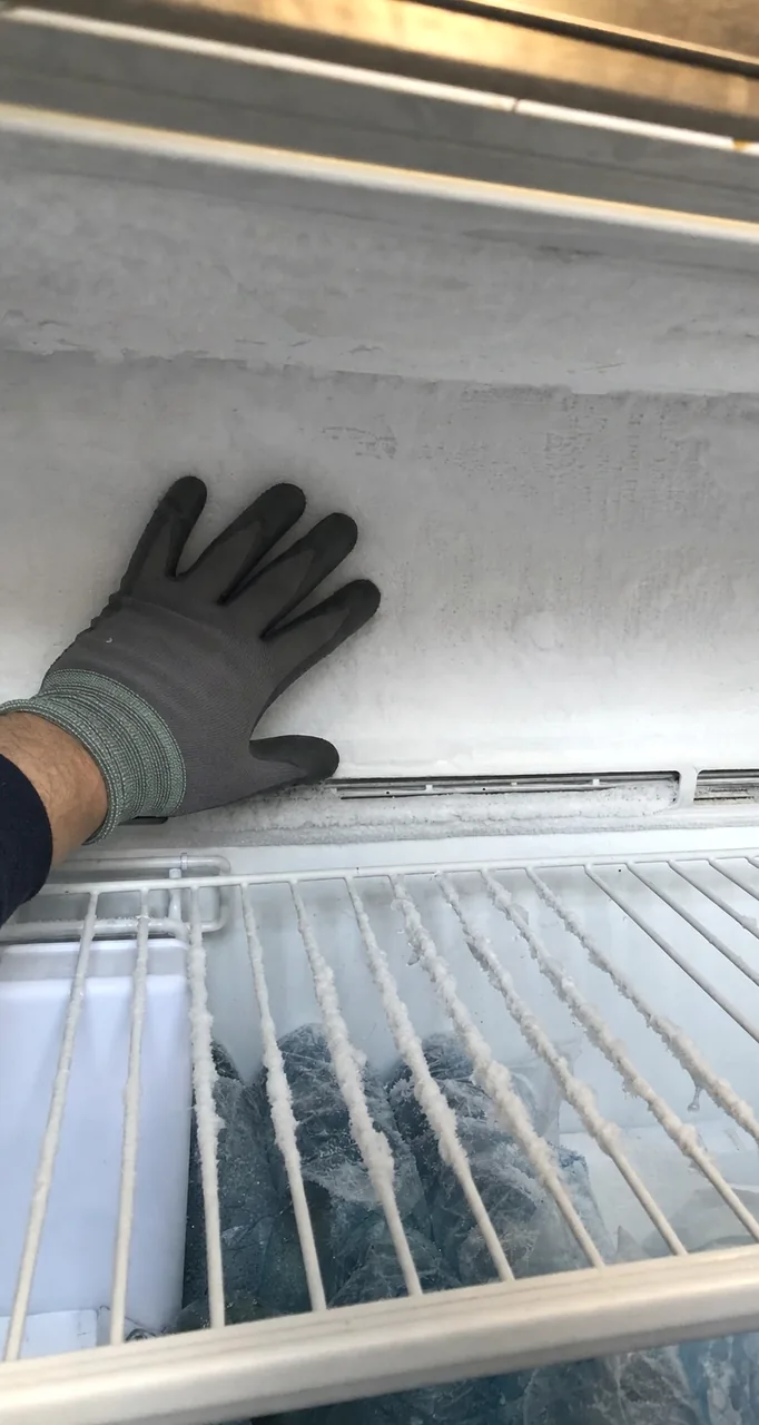 Close crop of the frost sheet on the compartment wall, individual crystals standing off the surface.