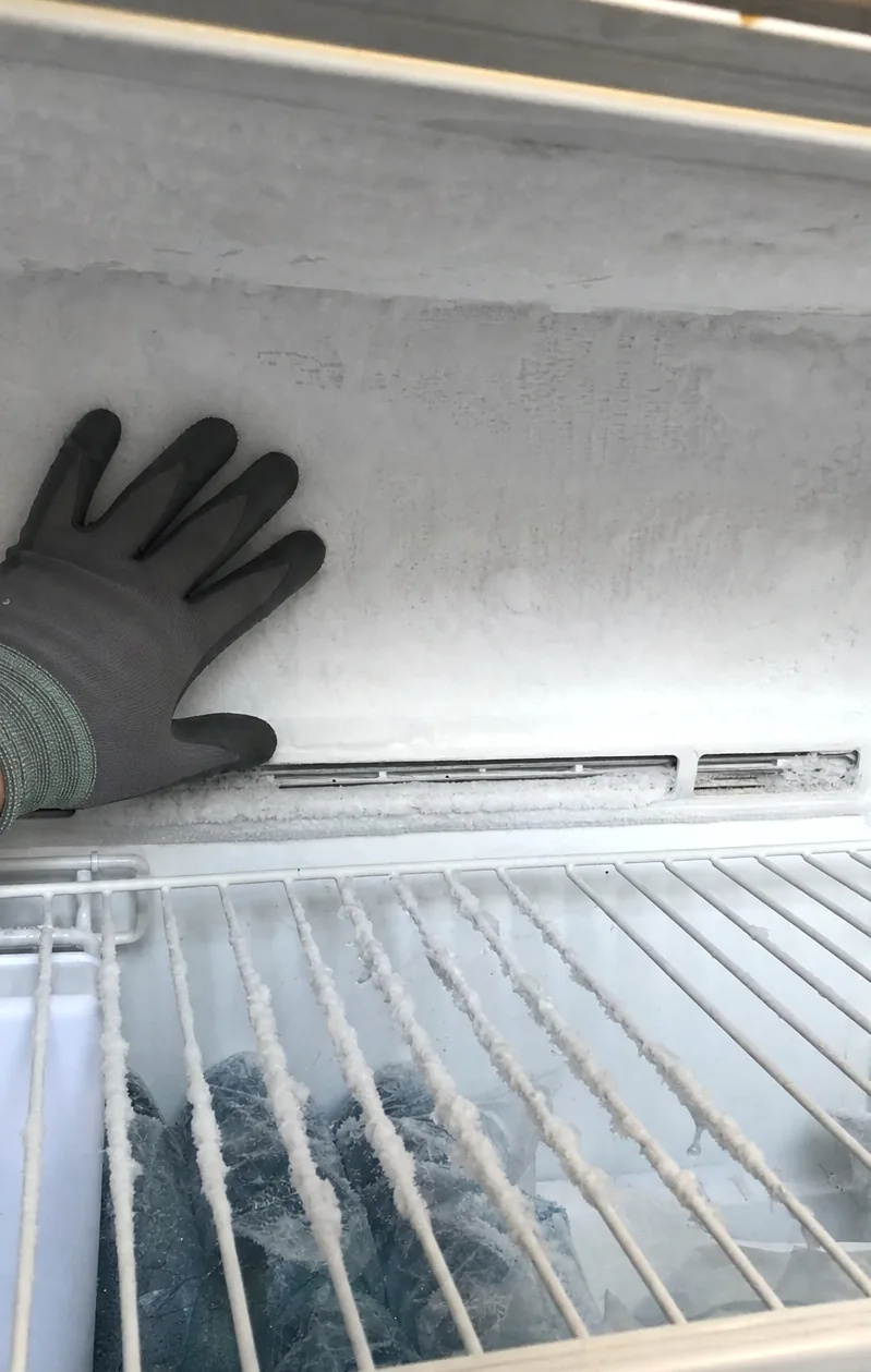 Centre crop of the frosted rear wall, the gloved hand flat against the ice for scale.